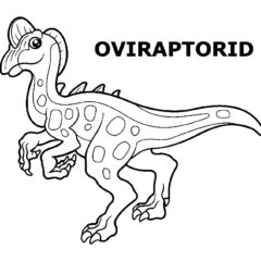 Oviraptorid