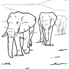 A herd of elephants on the plains