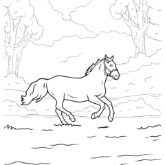 A horse gallops across a field
