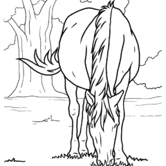 A horse grazes on the grass in a paddock