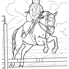 A horse jumps over an obstacle