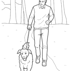 A man walks his dog in the park