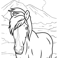 A miniature horse stands in a field