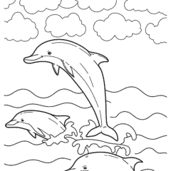 A school of dolphins