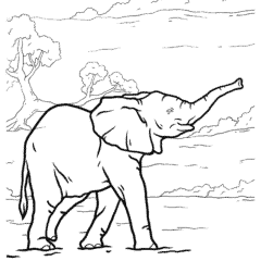 Adult elephant walking in african safari