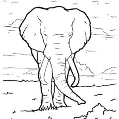 African elephant walking on the plains