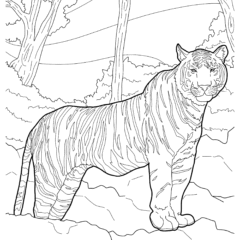 Bengal tiger standing in the jungle