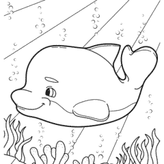 Cartoon dolphin swimming in the ocean