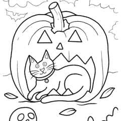 Cat inside a big pumpkin lantern