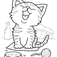 Cute cat meow