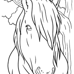 Cute miniature horse