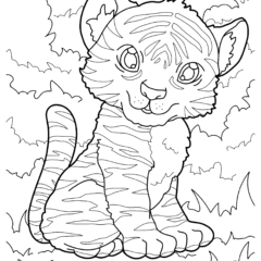 Cute playful tiger cub