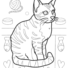 Cute striped cat sitting