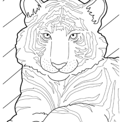 Cute young tiger