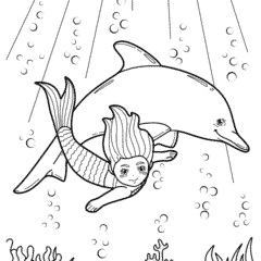 Dolphin and mermaid