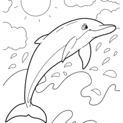 Dolphin