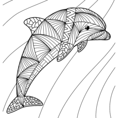 Dolphin Mandala
