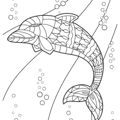 Dolphin Mandala Underwater