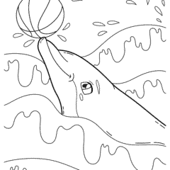 Dolphin plays with a ball