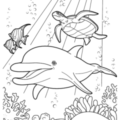 Dolphin swims with fish and a turtle