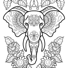 Elephant Mandala for Adults