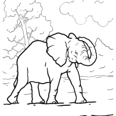 Elephant with a big trunk