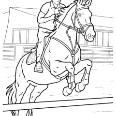 Equestrian sport Show jumping