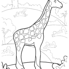 Giraffe for kids