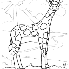 Giraffe on safari
