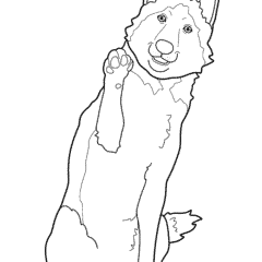 Husky with a raised paw
