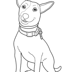 Jack Russell dog with ears pricked