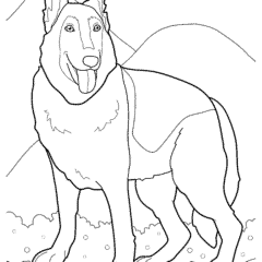 Large German Shepherd
