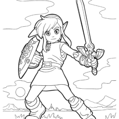 Link Holds Shield And Sword