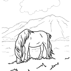 Miniature horse eating grass in a pasture