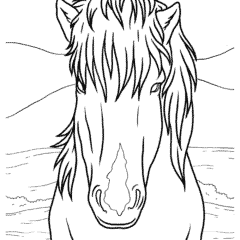 Miniature Horse for Kids
