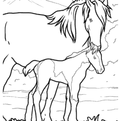 Mother horse and foal