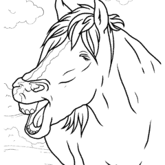 Neighing horse