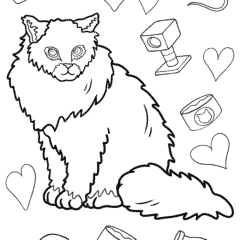 Norwegian Forest Cat