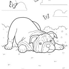 Playful Bulldog Puppy