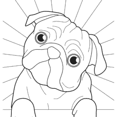 Pug with head tilted