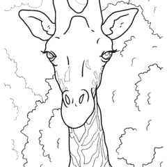 Realistic giraffe face