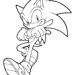 Shadow the Hedgehog was born on the ARK space station