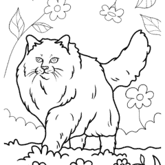 Siberian cat walking through a flower field