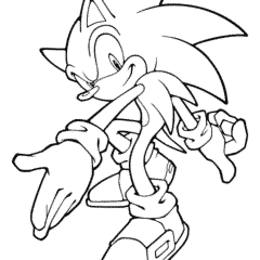 Silver the Hedgehog is able to levitate