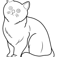 Simple cat