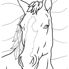 Simple horse face