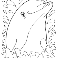 Smiling dolphin splashing in the water