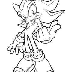 Sonic the Hedgehog Lands