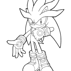 Sonic the Hedgehog lives by his own rules