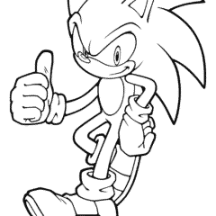 Sonic the Hedgehog performed a somersault